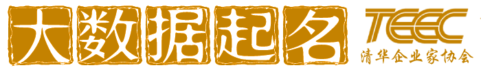 大数据起名logo